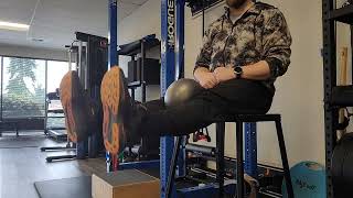 Bilateral Long Arc Quad (LAQ) with Ball