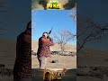 Remington 870: "Kẻ hủy diệt" chưa bao giờ lỗi thời sau gần 1 thế kỷ? 🔫😤 #viral