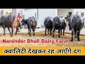 👍💪Super Duper Murrah Buffaloes available for Buyers🌹🌹क्वालिटी से कोई समझौता नहीं