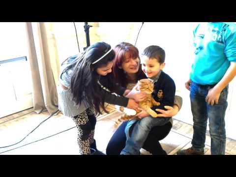 შეხვედრა მწერალთა სახლში (12 დეკემბერი, 2015)