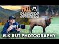 Fall in the smokies photographing elk rut  bugling  wildlife photography vlog