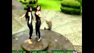 DUO SEJATI -  CARI UANG