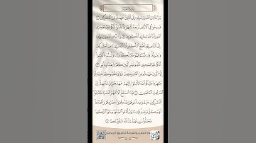 سورة التوبة #اكسبلور #دويتو #يارب #لايك #الشيخ #تيك_توك #الرقيه #ترند #الصلاه