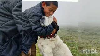 Sevilay - Göleli Gelin Resimi