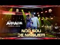 Forro Anjo Azul - Não Sou de Ninguém ( DVD Voando de Novo )