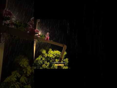 Mujhko Barsat Bana Lo Song Lyrics Youtubeshorts Shorts Foryou Trending Song Explore Viralvideos 