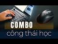 Trên tay bàn phím RAZER Pro Type Ergo và chuột công thái học RAZER Pro Click V2