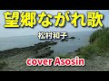 新曲〖望郷ながれ歌〗松村和子 cover麻生新
