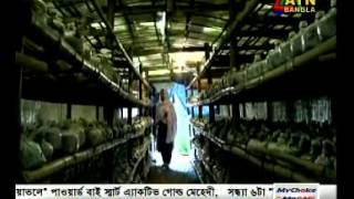 Mushroom Cultivation Programme on ATN Bangla