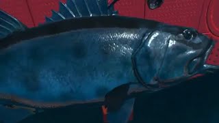 Real VR fishing - Giant Seabass US West fishing screenshot 4