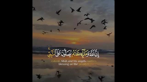 قران حالات واتس | للقارئ اسلام صبحي | حالات واتس اب دينيه♥♥.