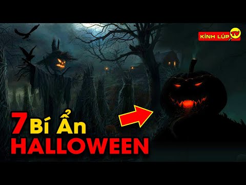 Video: Mèo đen có nguy hiểm hơn trong dịp Halloween không?