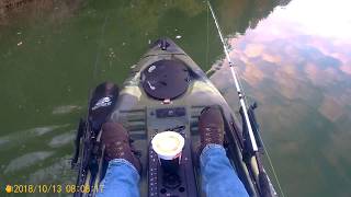 Black River 24" Channel Cat, Port Huron, Mi 10-13-18