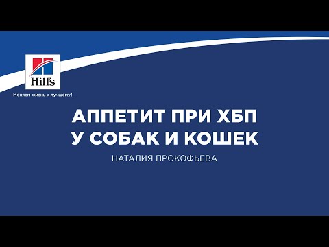 Видео: Кормление кошки при гиперкальциемии