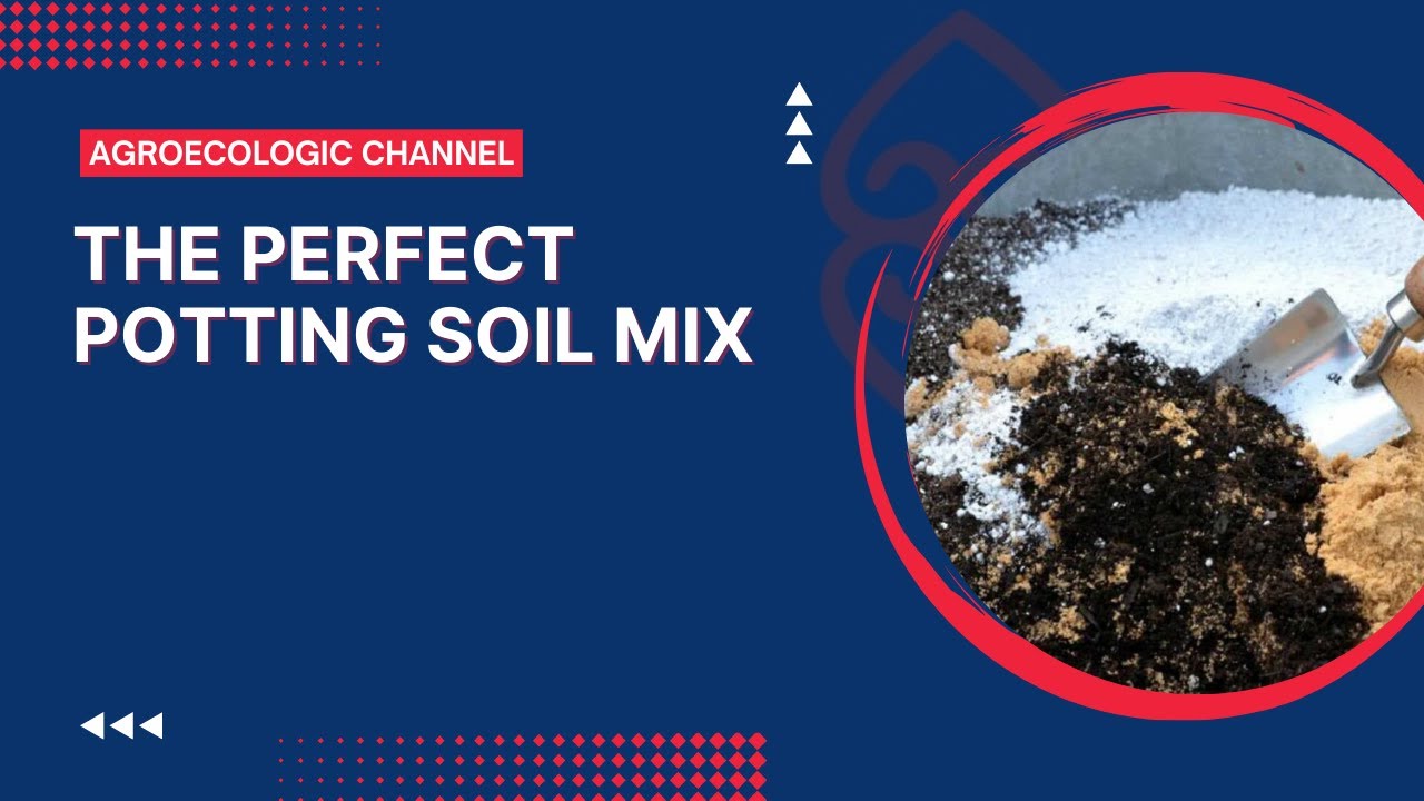 The Perfect Potting Soil Mix - YouTube