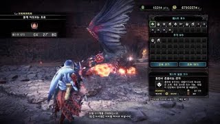 [라이트보우건] MHW:IB M★5 폭린룡 홍련의 솟구치는 바젤기우스 사냥 (붉게 타오르는 포효)