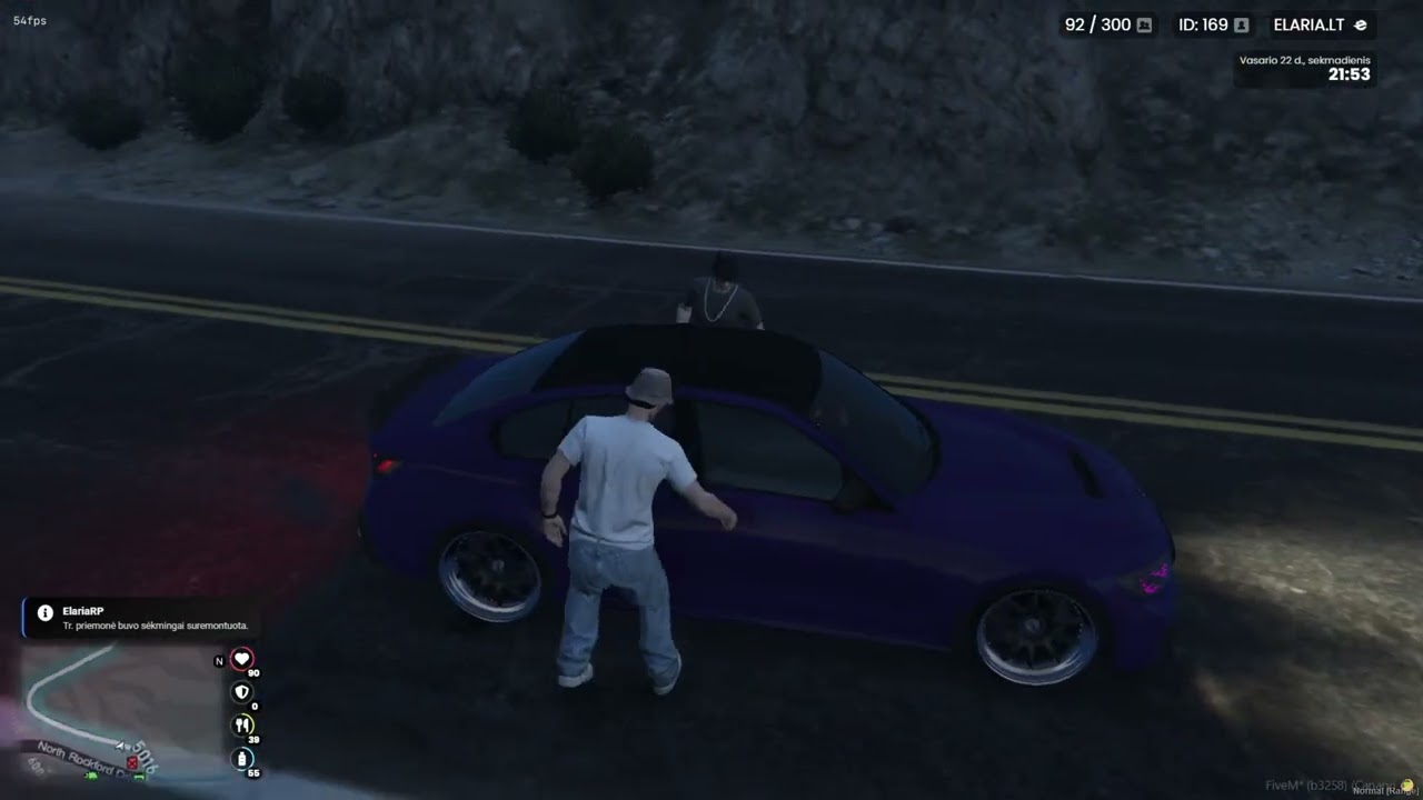 Žaidžiu (FIVEM ELARIA RP)