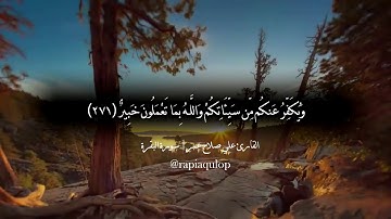 وَمَا تُنفِقُوا مِنْ خَيْرٍ يُوَفَّ إِلَيْكُمْ وَأَنتُمْ لَا تُظْلَمُونَ ...| القارئ علي صلاح عمر