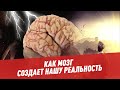 Жизнь внутри головы: как мозг создает нашу реальность