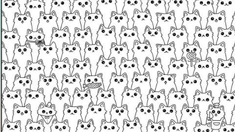 #Annoying puzzle game #level2 #Find 10 district cats