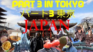 TOKYO DISNEYLAND + SENSO Ji TEMPLE | Part 3 & Last Part of my JAPAN TRIP! #tokyodisneyland #japan