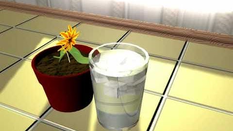 Maya 3d class final project - Character animation