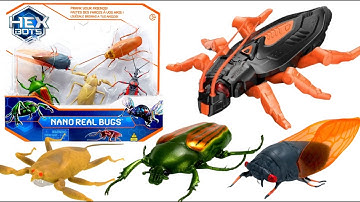 UNBOXING THE INSECT COLLECTION|NANO REAL BUGS | HEX BOTS| ASMR