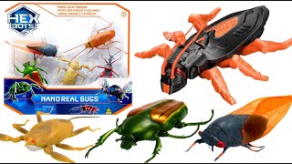 UNBOXING THE INSECT COLLECTION|NANO REAL BUGS | HEX BOTS| ASMR