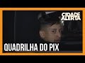 Seis pessoas são presas suspeitas de integrar quadrilha do Pix em SP