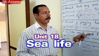 الوحدة 18لغة انجليزية الصف الثالث الإعدادي ترم ثاني 2019 منهج جديد مستر عاصم Unit 18