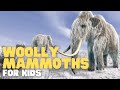 Woolly Mammoth Knowledge Assessment