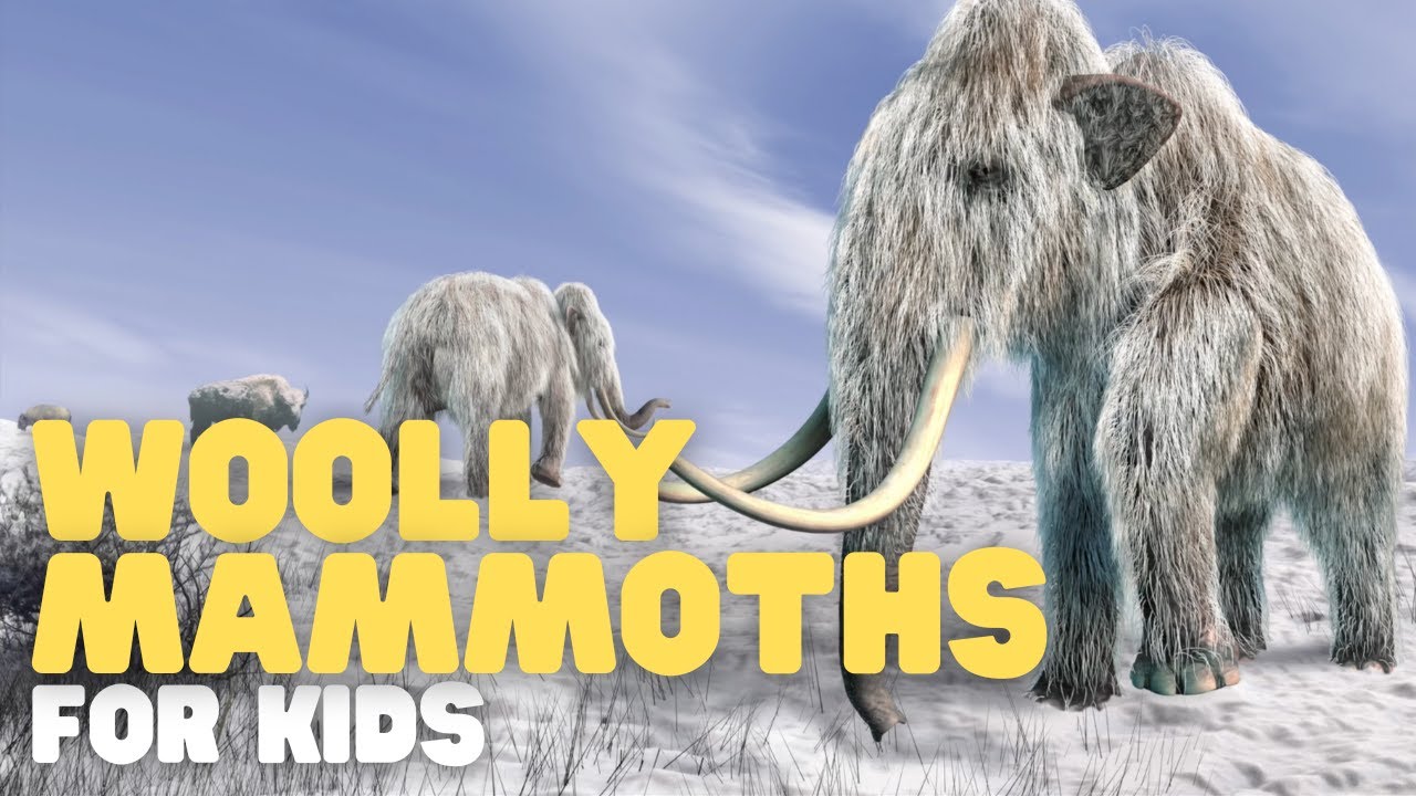 Woolly Mammoths for Kids | Learn all about this furry animal and its existence during the Ice Ages