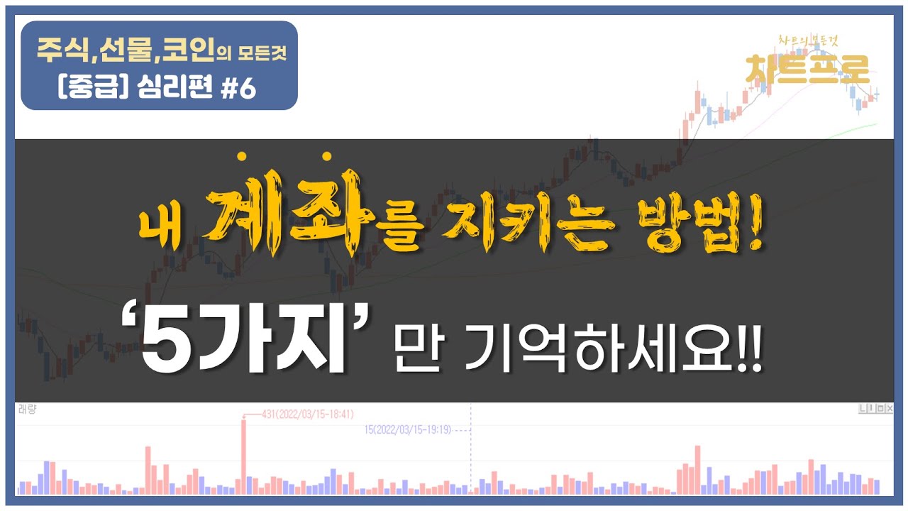 【중급-심리편#6】