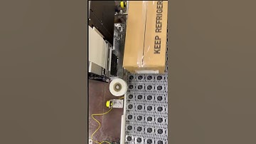 Morrison Dual "SLAP" - Servo Label Applicator Printer