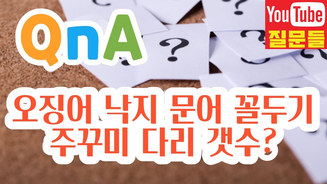 오징어 낙지 문어 꼴두기 주꾸미 다리 갯수?