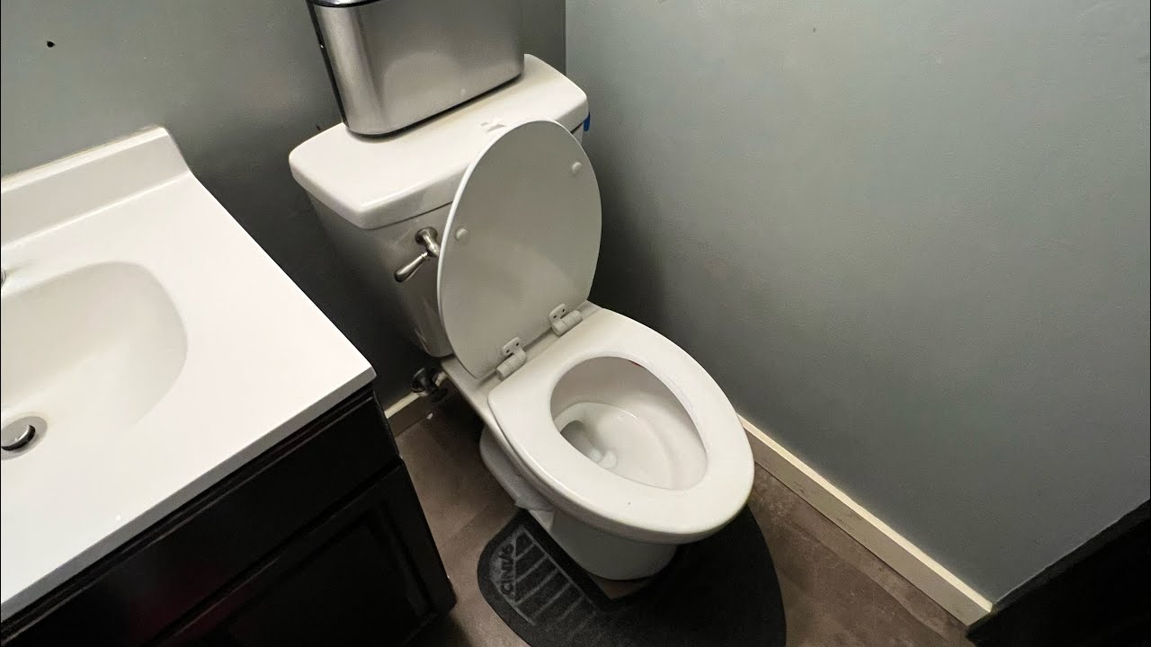 Interesting Elongated Seasons? Toilet! YouTube