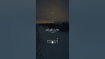 اكتب شي تؤجر عليه ❤ | القارئ عبدالباسط عبدالصمد رحمه الله | قرآن كريم