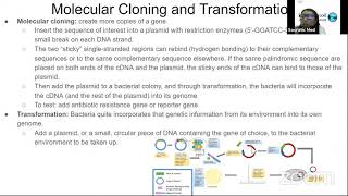 MCAT Program Biology/Biochemistry Laboratory Techniques - Topic 6/7: Cloning and Transformations