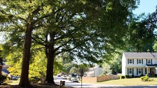 Fox Rd Neighborhood Walk in Raleigh NC | Real Everyday Ambient Sounds