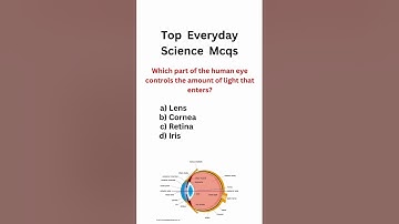 Top everyday science mcqs || science mcqs #generalscience #gkmcq #competitiveexams