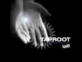 Video Dragged down Taproot