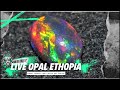 Eggi gemstone sedang live sekarang!