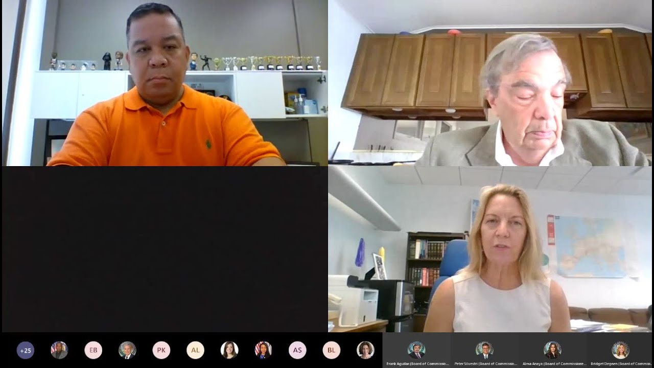 Cook County Public Defender  Amy Campanelli's 2020  Mid-Year Budget Presentation