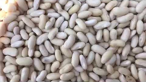 SỮA NGŨ CỐC TÂM ĐỨC QUY TRÌNH PHƠI HẠT