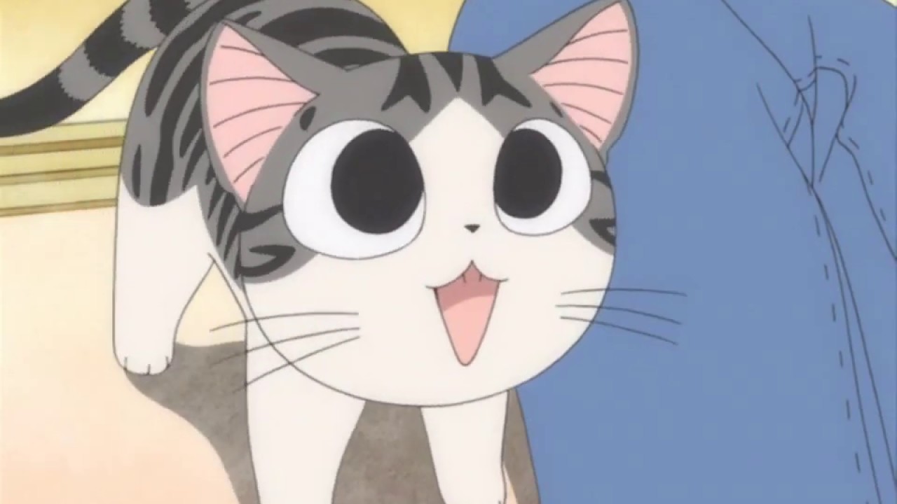 Chi's Sweet Home Episode 12