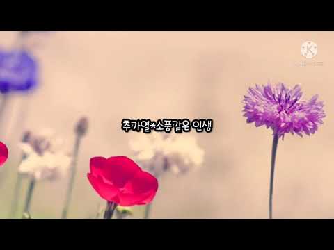 추가열♧소풍같은 인생