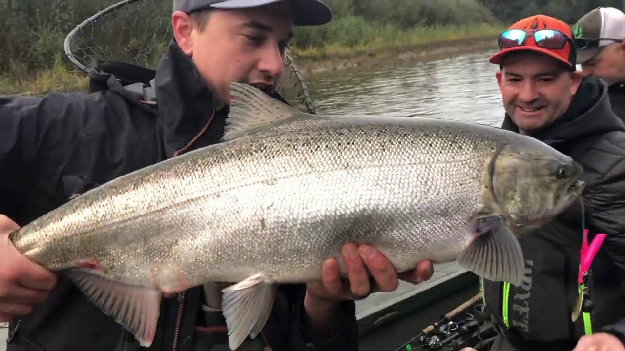 wicked fish bait and tackle