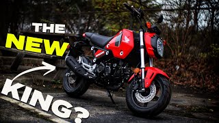 New Honda Grom 125 Review | Better than the Monkey, Dax &amp; Super Cub Motorcycles?