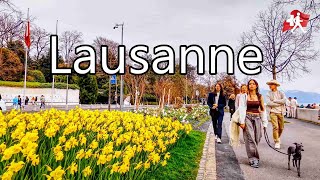 Switzerland 🇨🇭 Lausanne Enjoy Spring Walk in Swiss City Walking Tour 4K