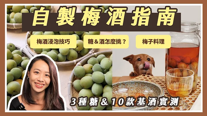 【梅酒指南】浸泡技巧、糖＆基酒怎么挑？｜13 款自制梅酒评测｜梅子料理 - 天天要闻